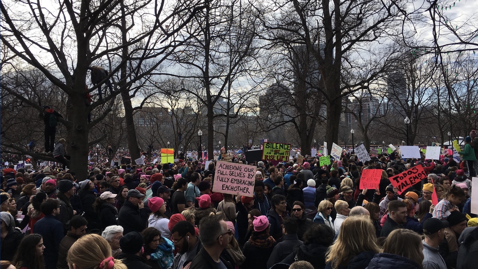 Protesters gathered in the Boston Common at the Women's March on Jnauary 21, 2017.